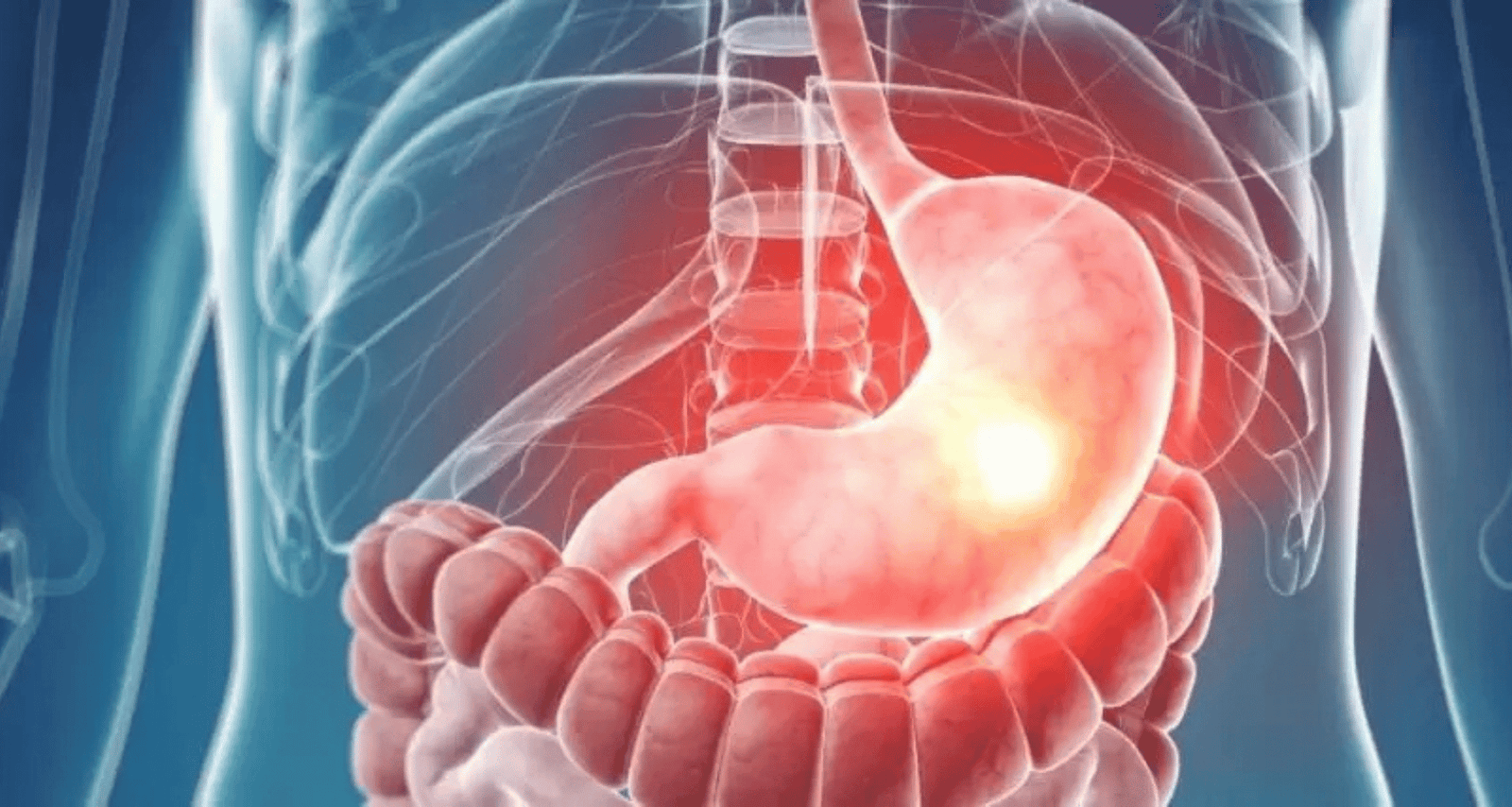 Gastro-intestinal Cancers: Everything You Need To Know